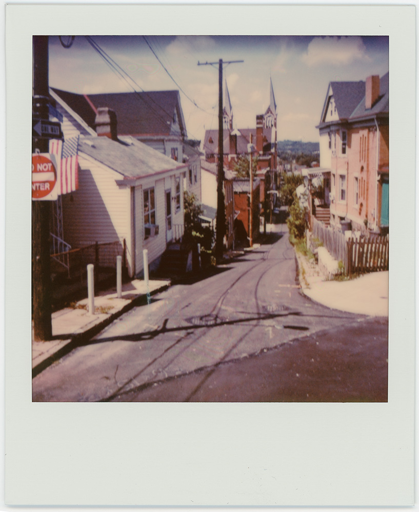 Polaroid 65